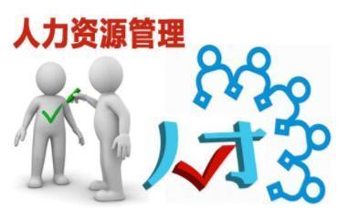文科530分报考人力资源管理专业指南与人力资源信息咨询
